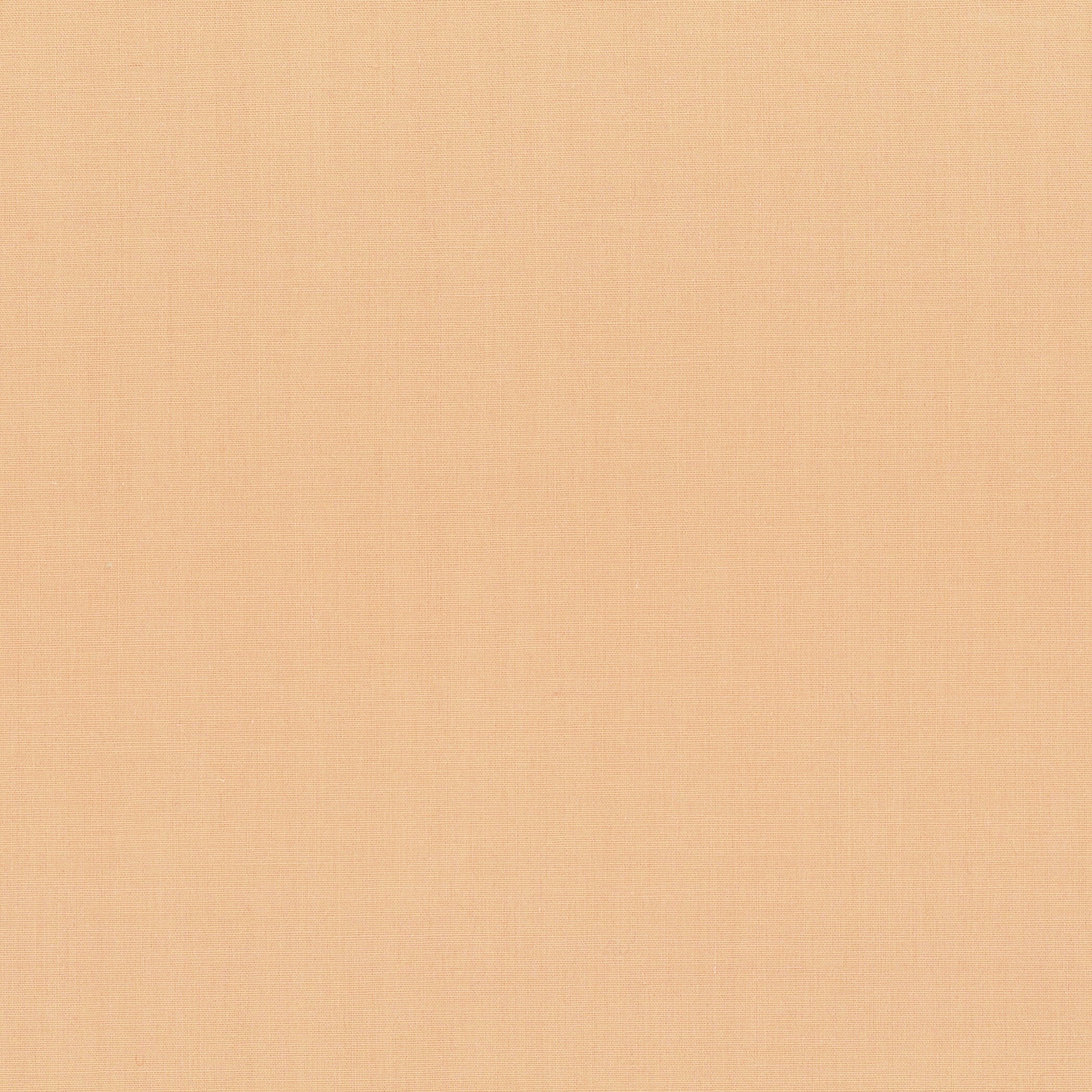 Thumbnail 28